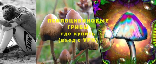 тгк Белокуриха
