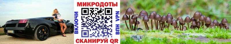 кракен зеркало  Сибай  Псилоцибиновые грибы GOLDEN TEACHER  купить наркотик 